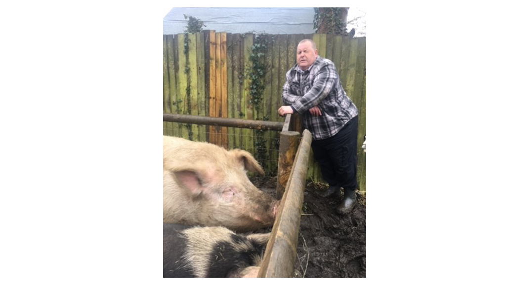 Mike Duxbury with pigs